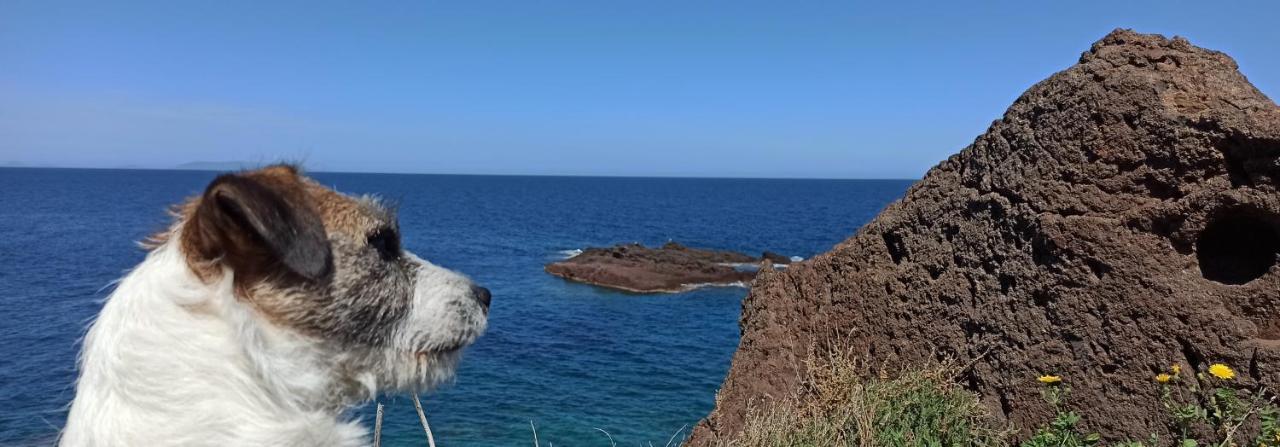Gioiellino Sardo Daire Castelsardo Dış mekan fotoğraf